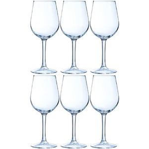 6x Luxe wijnglazen voor rode wijn 370 ml - 37 cl - Rode wijn glazen - Wijn drinken - Wijnglazen van glas