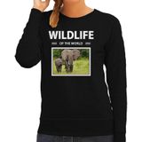 Dieren foto sweater Olifant - zwart - dames - wildlife of the world - cadeau trui Olifanten liefhebber