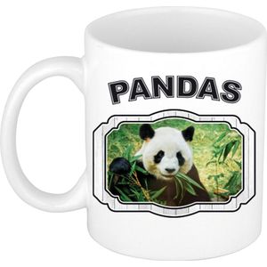 Dieren liefhebber panda mok 300 ml - kerramiek - cadeau beker / mok pandaberen liefhebber