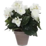 Witte Begonia kunstplant met bloemen 30 cm in grijze pot - Kunstplanten/nepplanten - Voor binnen