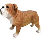 Dierenbeelden Engelse bulldog hond - Decoratie beeldje 9 cm