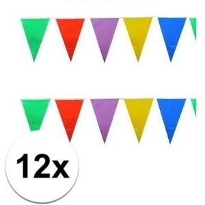 12x Vlaggenlijnen gekleurde vlaggetjes - 10 meter - slingers