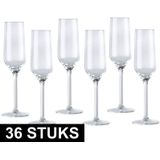 Champagneglas/glazen - 22 centiliter - 36 stuks