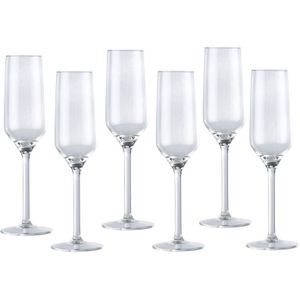 Champagneglas/glazen - 22 centiliter - 36 stuks