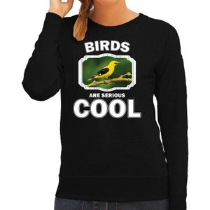 Dieren vogels sweater zwart dames - birds are serious cool trui - cadeau sweater wielewaal vogel/ vogels liefhebber