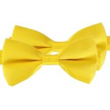 2x Gele verkleed vlinderstrikjes 12 cm voor dames/heren - Geel thema verkleedaccessoires/feestartikelen - Vlinderstrikken/vlinderdassen met elastieken sluiting