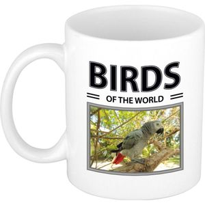 Dieren foto mok Grijze roodstaart papegaai - 300 ml - birds of the world - cadeau beker / mok Papegaaien liefhebber