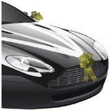 Chaks Trouwauto decoratie lint - wit/goud  - just married - bruiloft benodigdheden