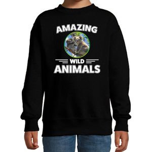 Sweater koala - zwart - kinderen - amazing wild animals - cadeau trui koala / koalaberen liefhebber
