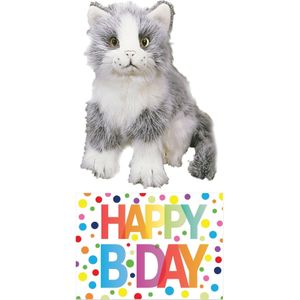 Cadeau setje pluche grijze kat/poes knuffel 20 cm met grote A5 formaat Happy Birthday wenskaart