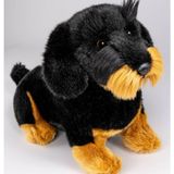 Carl Dick Knuffeldier Teckel hond - zachte pluche stof - premium kwaliteit knuffels - 30 cm - honden