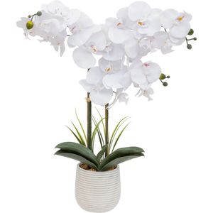 Atmosphera Orchidee bloemen kunstplant - in een witte bloempot - witte bloemen - H60 cm