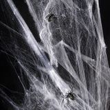 Fiestas Decoratie spinnenweb/spinrag met spinnen - 40 gram - wit - Halloween/horror thema versiering