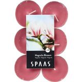 Candles by Spaas geurkaarsen - 36x stuks in 3 geuren Magnolia Flowers - Exotic Wood - Minty Hammon