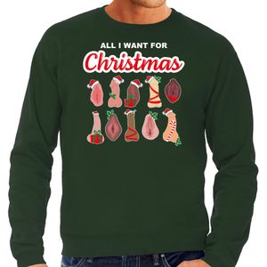 Bellatio Decorations foute kersttrui/sweater heren - All I want for Christmas - piemel/vagina -groen
