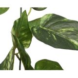Planten Slinger Klimop - 3x - Hedera Helix - 180 cm - Groen - Kunstplant