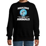Sweater dolfijn - zwart - kinderen - amazing wild animals - cadeau trui dolfijn / dolfijnen liefhebber