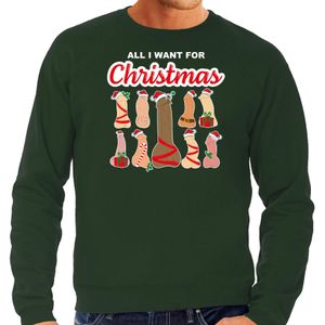 Bellatio Decorations foute kersttrui/sweater voor heren - All I want for Christmas - piemels - groen