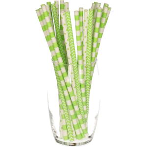Excellent Houseware Drinkrietjes van papier - 100x - groen - 20 cm