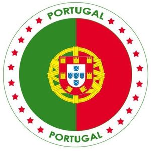 25x Bierviltjes Portugal thema print - Onderzetters Portugese vlag - Landen decoratie feestartikelen