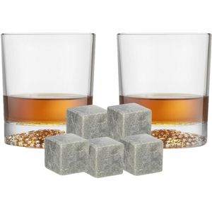 Royal Leerdam whiskyglazen - set 4x stuks van 290 ml - en 9x whisky ijsblokstenen - Cadeau set vaderdag