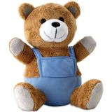 Pluche Teddybeer met Blauwe Outfit