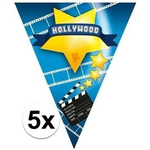 5x Vlaggenlijnen Hollywood 5 meter