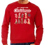 Bellatio Decorations foute kersttrui/sweater heren - All I want for Christmas - piemel/vagina -rood