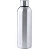 RVS waterfles/drinkfles - 2x - kleur metallic zilver - met schroefdop - 800 ml