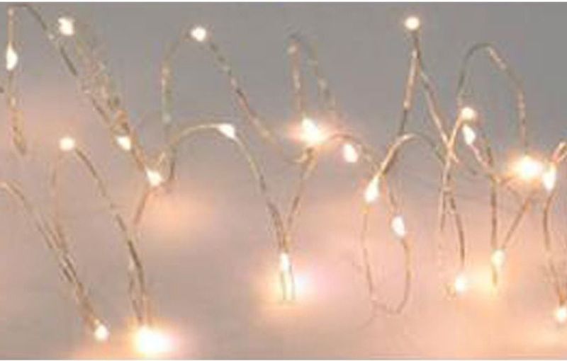 zwanger Besparing wasmiddel 2x Draadverlichting zilver met warm witte LED lampjes 6 meter op batterijen  met timer - Kerstverlichting lichtsnoeren (cadeaus & gadgets) | € 14 bij  Shoppartners.nl | beslist.nl