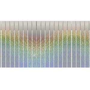 Franjeslinger holografisch  feest slinger 6 meter - 600 x 30 cm - Oud en nieuw/glitter party decoratie