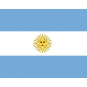 10x Binnen en buiten stickers Argentinie 10 cm - Argentijnse vlag stickers - Supporter feestartikelen - Landen decoratie en versieringen