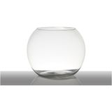 Bellatio Design bloemenvaas/terrarium bolvormig - D25 x H20 cm - glas