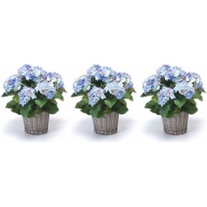 3x Kunstplanten blauwe Hortensia in mand 45 cm - Kunstplanten/nepplanten