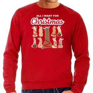 Bellatio Decorations foute kersttrui/sweater voor heren - All I want for Christmas - piemels - rood