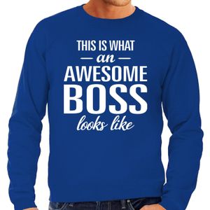 Awesome Boss - geweldige baas cadeau sweater blauw heren - verjaardag cadeau