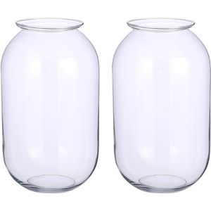 Set van 2x stuks transparante ronde vaas/vazen van glas 19 x 30 cm - Woonaccessoires/woondecoraties - Glazen bloemenvaas - Boeketvaas