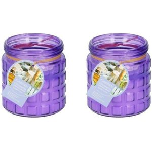 2x stuks citronella kaarsen - in glazen pot - 12 cm - paars - buiten