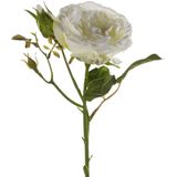 Emerald Kunstbloem roos Anne - 5x - creme - 37 cm - decoratie bloemen