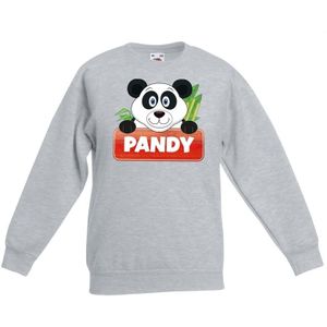 Pandy de panda sweater grijs voor kinderen - unisex - pandabeer trui - kinderkleding / kleding
