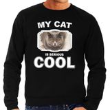 Britse korthaar katten trui / sweater my cat is serious cool zwart - heren - katten / poezen liefhebber cadeau sweaters