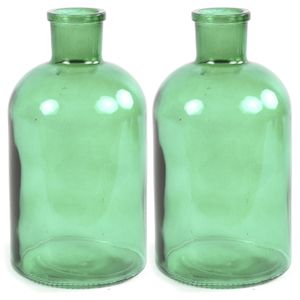 Countryfield Bloemenvaas - 2x stuks - mintgroen - glas - apotheker fles - D14 x H27 cm