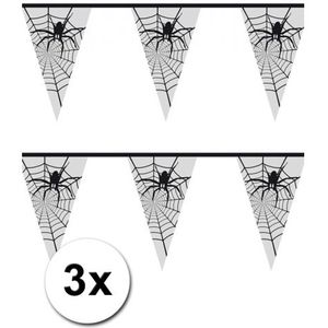 3x Spinnenweb vlaggenlijn / slinger 6 meter - Halloween versiering