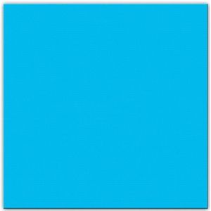 50x Turquoise servetten 33 x 33 cm - Papieren wegwerp servetjes - turquoise/blauwe versieringen/decoraties