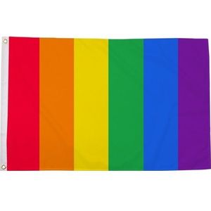 Regenboog LGBT vlag 90 x 150 cm verticale strepen - Gay pride/parade feestversiering/feestdecoratie artikelen