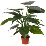 Set van 2x stuks kunstplanten alocasia olifantsoor groen 51 cm - Groene huis of kantoor nepplanten