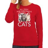 Kitten Kerstsweater / kersttrui All I want for Christmas is cats rood voor dames - Kerstkleding / Christmas outfit