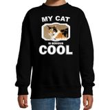 Lapjeskat katten trui / sweater my cat is serious cool zwart - kinderen - katten / poezen liefhebber cadeau sweaters - kinderkleding / kleding