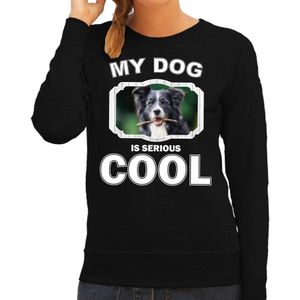 Border collie  honden trui / sweater my dog is serious cool zwart - dames - Border collies liefhebber cadeau sweaters