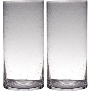 Set van 2x stuks transparante home-basics Cylinder vorm vazen van bubbel glas 40 x 19 cm - Bloemen/takken vaas voor binnen gebruik